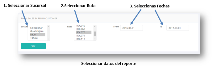 Seleccionar datos Reporte.PNG